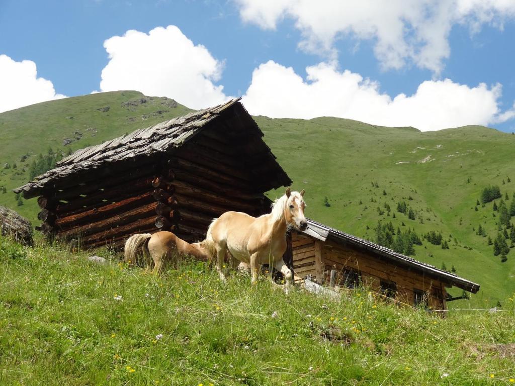 Gaestehaus Zwischenberger Obervellach Buitenkant foto